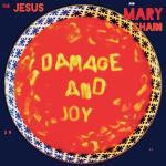 Damage And Joy (Rem)