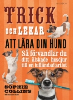 Trick Och Lekar Att Lära Din Hund - Så Förvandlar Du Ditt Älskade Husdjur..