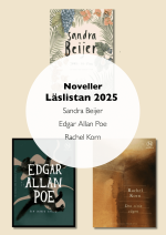 Noveller Läslistan 2025- Sandra Beijer, Edgar Allan Poe Och Rachel Korn.