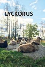 Lyckorus