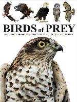 Birds Of Prey