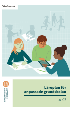 Läroplan För Anpassade Grundskolan. Lgra22 - Uppdaterad 2025