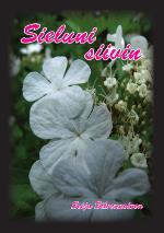 Sieluni Siivin
