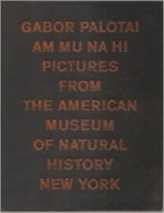 Am Mu Na Hi - Pictures From The American Museum Of Natural History, New York