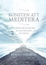 Konsten Att Meditera - En Praktisk Guide För Att Bli Vän Med Sitt Sinne