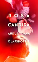 Rosa Candida
