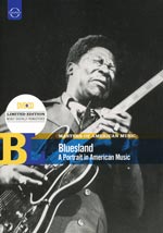 Master Of American Blues Band