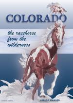Colorado - The Racehorse From The Wilderness