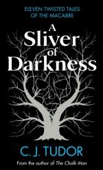 Sliver Of Darkness