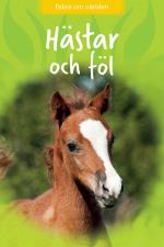 Hästar Och Föl