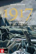 Stridens Skönhet Och Sorg 1917 - Första Världskrigets Fjärde År I 108 Korta Kapitel