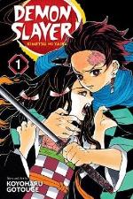 Demon Slayer- Kimetsu No Yaiba, Vol. 1