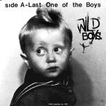 Wild Boys - Last One Of The Boys