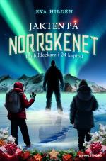Jakten På Norrskenet - En Juldeckare I 24 Kapitel