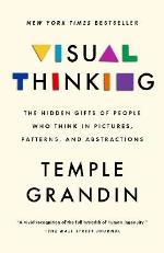 Visual Thinking