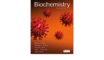 Biochemistry (international Edition)