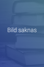 Riksdagsordningen - En Kommentar