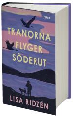 Tranorna Flyger Söderut