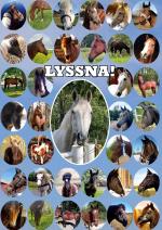 Lyssna! - En Bok Av Hästar För Människor