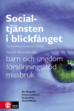 Socialtjänsten I Blickfånget - Organisation, Resurser Och Insatser