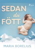 Sedan Du Fött - En Bok Om Hur Du Tar Hand Om Dig Själv Efter Graviditet Och Förlossning