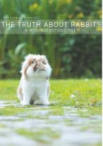 The Truth About Rabbits - A Misunderstood Pet