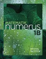 Matematik Numerus 1b