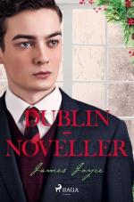 Dublin-noveller
