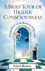 Brief Tour Of Higher Consciousness - A Cosmic Book On The Mechanics Of Crea