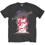 David Bowie: Unisex T-Shirt/Aladdin Sane (Large)