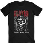 Slayer: Unisex T-Shirt/Acid Rain (XX-Large)