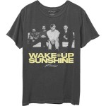 All Time Low: Unisex T-Shirt/Faded Wake Up Sunshine (Charcoal Grey) (Medium)