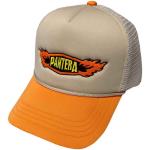 Pantera: Unisex Mesh Back Cap/Flames Logo