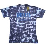 Nirvana: Kids T-Shirt/Nevermind Wavy Logo (Purple) (Wash Collection) (9-10 Years)