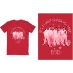Backstreet Boys: Unisex T-Shirt/All I Want Xmas (Medium)