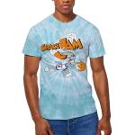 Space Jam: Unisex T-Shirt/Retro Bugs (Wash Collection) (Small)