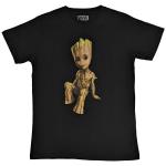 Marvel Comics: Unisex T-Shirt/Guardians of the Galaxy Groot Perch (Small)