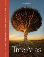 Lonely Planet The Tree Atlas