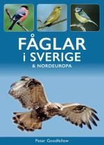 Fåglar I Sverige & Nordeuropa