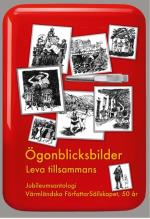 Ögonblicksbilder Leva Tillsammans