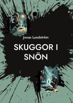 Skuggor I Snön - En Hemlös Mans Väg Från Mörkret Till Ljuset