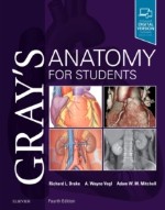 Gray`s Anatomy For Students