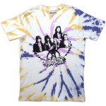 Aerosmith: Unisex T-Shirt/Photo Wings (Natural) (Wash Collection) (X-Large)