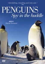 Penguins Spy in the Huddle