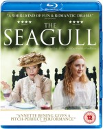 Seagull. The
