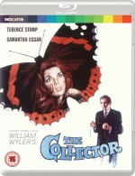 Collector. The