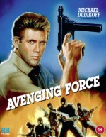 Avenging Force