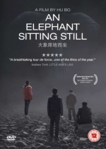 An Elephant Sitting Still