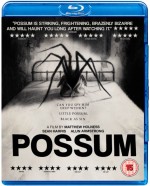 Possum