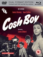 Cosh Boy